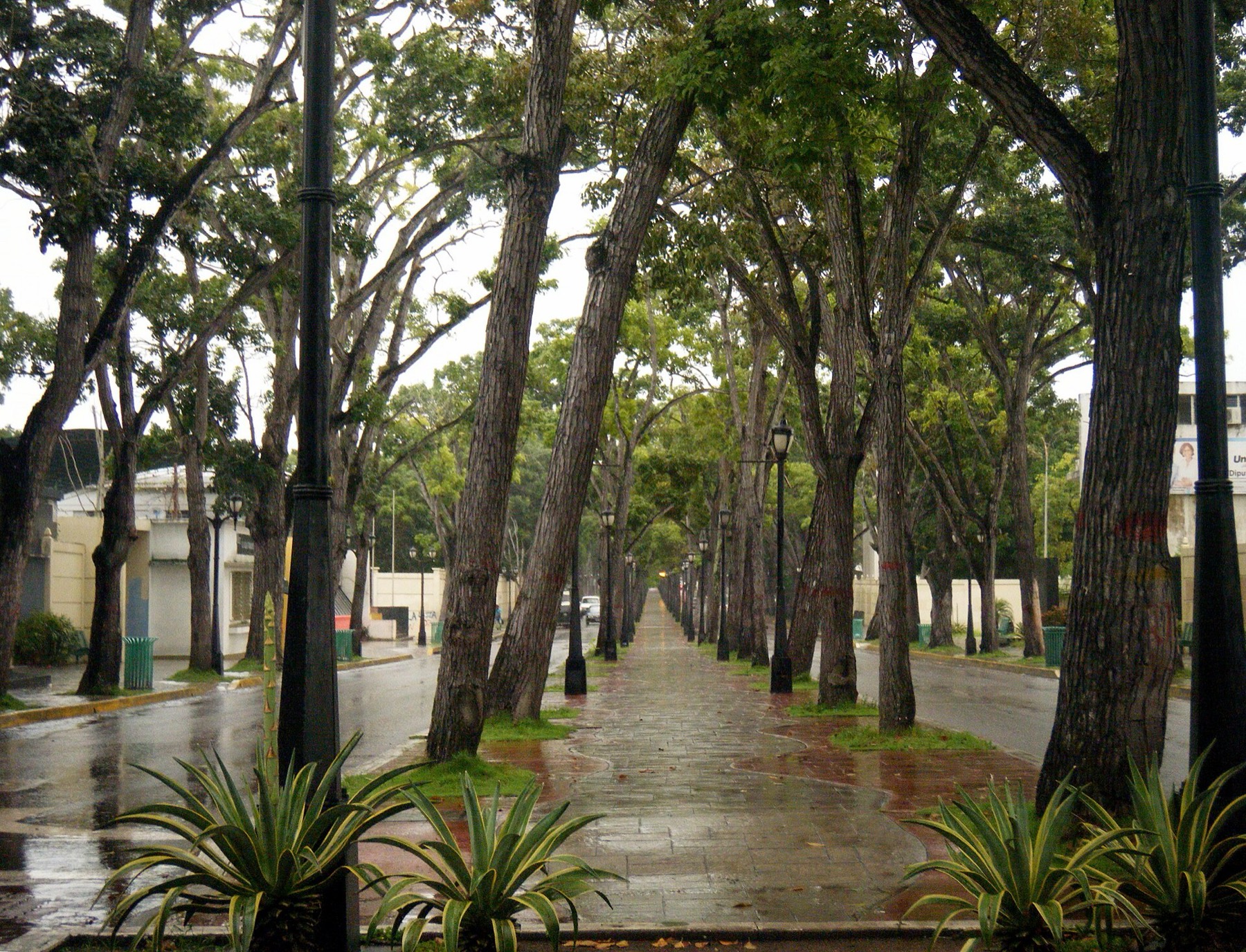 Avenida Bolívar de Maturín